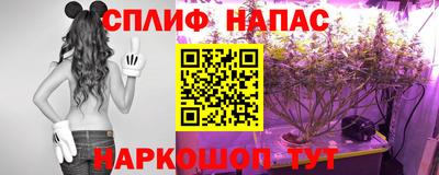 наркотики Краснознаменск