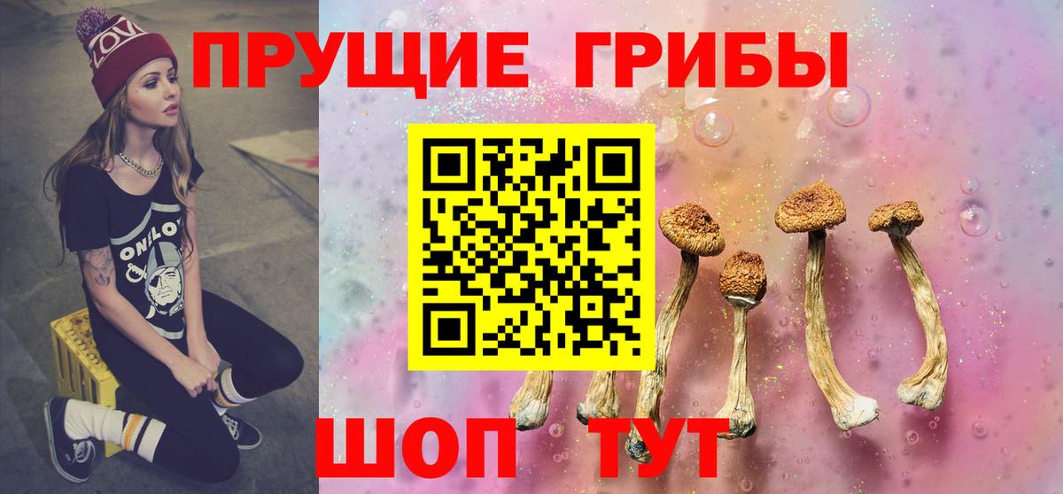 Псилоцибиновые грибы Psilocybine cubensis Янаул